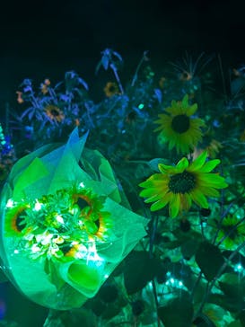 せんだい農業園芸センター　みどりの杜に投稿された画像（2024/8/18）