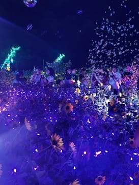 せんだい農業園芸センター　みどりの杜に投稿された画像（2024/8/18）