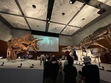 DinoScience 恐竜科学博 ～ララミディア大陸の恐竜物語～ 2024@OSAKAに投稿された画像（2024/8/18）
