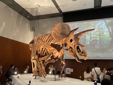 DinoScience 恐竜科学博 ～ララミディア大陸の恐竜物語～ 2024@OSAKAに投稿された画像（2024/8/18）