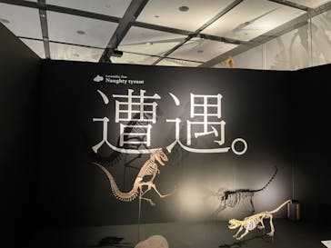 DinoScience 恐竜科学博 ～ララミディア大陸の恐竜物語～ 2024@OSAKAに投稿された画像（2024/8/18）