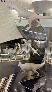 福井県立恐竜博物館に投稿された画像（2024/8/18）