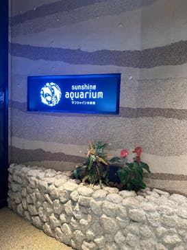 サンシャイン水族館に投稿された画像（2024/8/18）