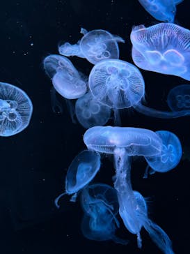 AOAO SAPPOROに投稿された画像（2024/8/18）