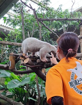 那須どうぶつ王国に投稿された画像（2024/8/18）