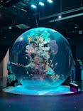 神戸みなと温泉 蓮×AQUARIUM × ART　atoaに投稿された画像（2024/8/19）