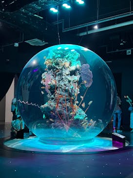 神戸みなと温泉 蓮×AQUARIUM × ART　atoaに投稿された画像（2024/8/18）