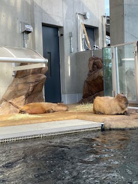 神戸みなと温泉 蓮×AQUARIUM × ART　atoaに投稿された画像（2024/8/18）