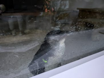 AOAO SAPPOROに投稿された画像（2024/8/19）