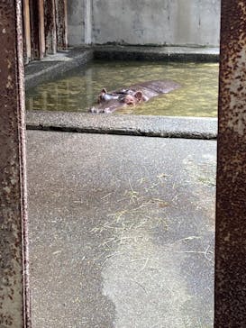 東武動物公園に投稿された画像（2024/8/19）