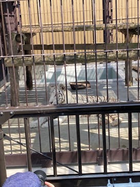 東武動物公園に投稿された画像（2024/8/19）