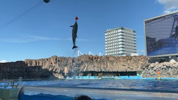 名古屋港水族館に投稿された画像（2024/8/19）