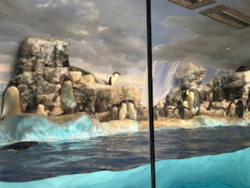 名古屋港水族館に投稿された画像（2024/8/19）