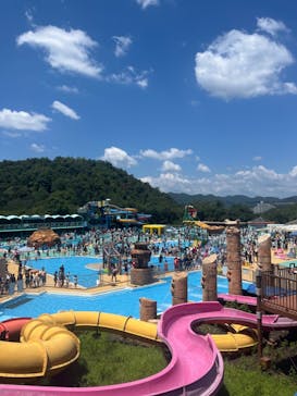 日本モンキーパークに投稿された画像（2024/8/19）