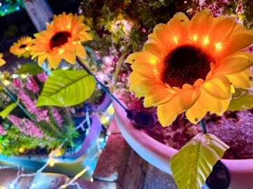 せんだい農業園芸センター　みどりの杜に投稿された画像（2024/8/19）