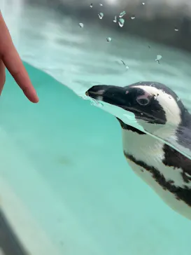 仙台うみの杜水族館に投稿された画像（2024/8/19）