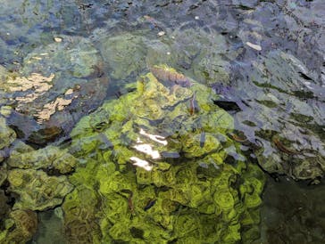 葛西臨海水族園に投稿された画像（2024/8/19）