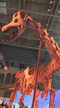 巨大恐竜展2024に投稿された画像（2024/8/19）