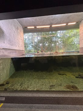 滋賀県立琵琶湖博物館に投稿された画像（2024/8/19）