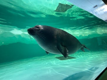 滋賀県立琵琶湖博物館に投稿された画像（2024/8/19）