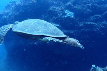 アクアティックアドベンチャーに投稿された画像（2024/8/19）