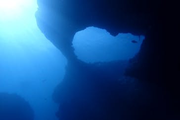 アクアティックアドベンチャーに投稿された画像（2024/8/19）