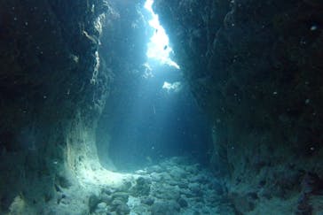 アクアティックアドベンチャーに投稿された画像（2024/8/19）