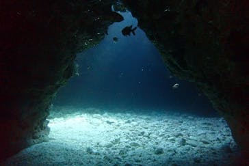 アクアティックアドベンチャーに投稿された画像（2024/8/19）