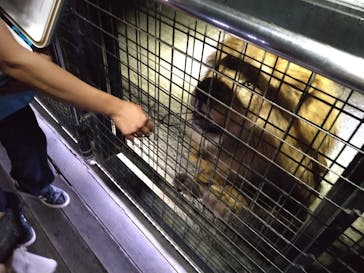 那須ハイランドパークに投稿された画像（2024/8/19）