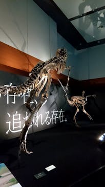 DinoScience 恐竜科学博 ～ララミディア大陸の恐竜物語～ 2024@OSAKAに投稿された画像（2024/8/19）