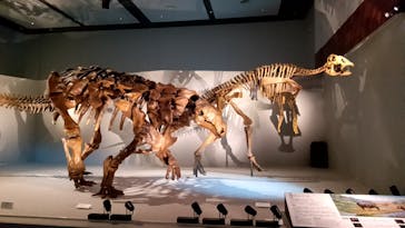 DinoScience 恐竜科学博 ～ララミディア大陸の恐竜物語～ 2024@OSAKAに投稿された画像（2024/8/19）