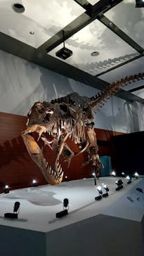 DinoScience 恐竜科学博 ～ララミディア大陸の恐竜物語～ 2024@OSAKAに投稿された画像（2024/8/19）