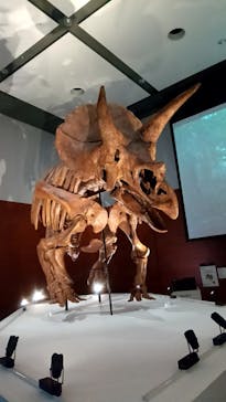 DinoScience 恐竜科学博 ～ララミディア大陸の恐竜物語～ 2024@OSAKAに投稿された画像（2024/8/19）