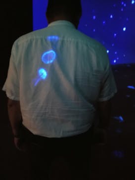 AOAO SAPPOROに投稿された画像（2024/8/19）