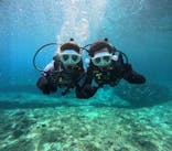 沖縄マリンサービス碧に投稿された画像（2024/8/19）