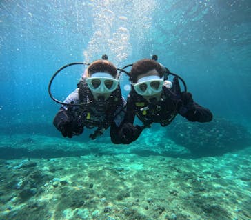 沖縄マリンサービス碧に投稿された画像（2024/8/19）