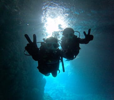 沖縄マリンサービス碧に投稿された画像（2024/8/19）