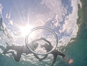 武藤潜水に投稿された画像（2024/8/19）