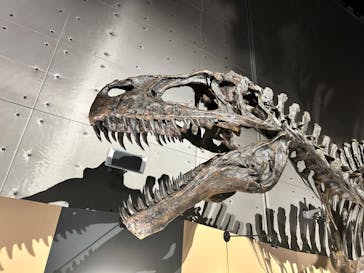 福井県立恐竜博物館に投稿された画像（2024/8/19）