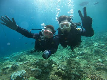 武藤潜水に投稿された画像（2024/8/19）