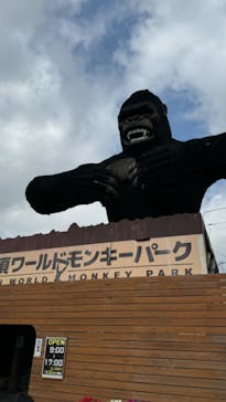 那須ワールドモンキーパークに投稿された画像（2024/8/19）