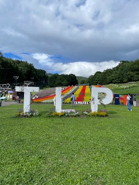 たんばらラベンダーパークに投稿された画像（2024/8/19）