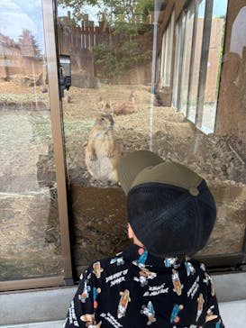 那須どうぶつ王国に投稿された画像（2024/8/19）