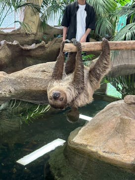 那須どうぶつ王国に投稿された画像（2024/8/19）