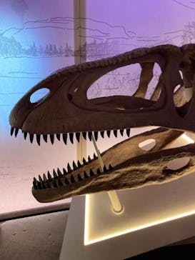 巨大恐竜展2024に投稿された画像（2024/8/19）