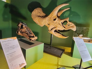 巨大恐竜展2024に投稿された画像（2024/8/19）