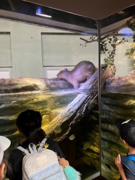 カワスイ 川崎⽔族館に投稿された画像（2024/8/19）