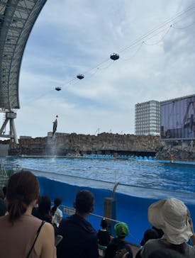 名古屋港水族館に投稿された画像（2024/8/19）