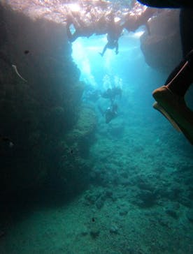 武藤潜水に投稿された画像（2024/8/19）