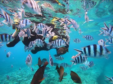 武藤潜水に投稿された画像（2024/8/19）